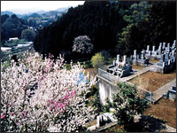 公園墓地　菖蒲の里　画像