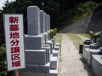 �����₷�炬 �V��n�������