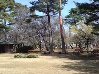 小平霊園　画像